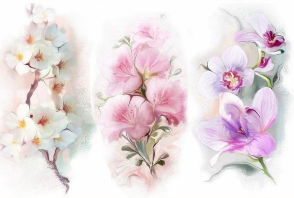 Акварельные цветы вертикальные