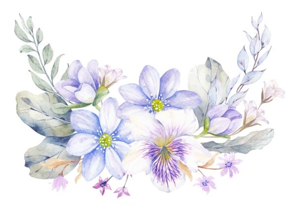 Прозрачные Акварельные цветы