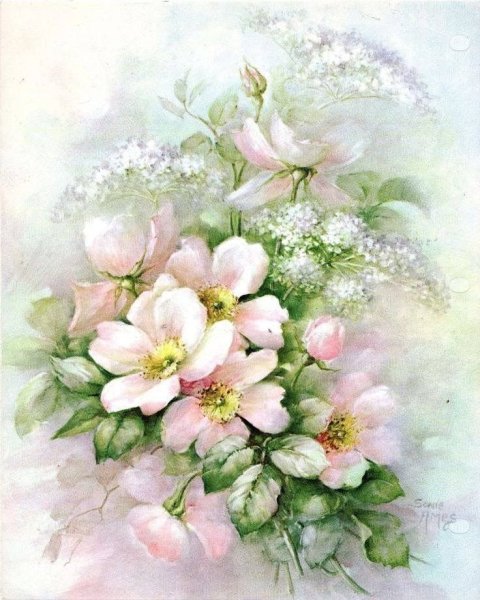 Акварели Sonie Ames