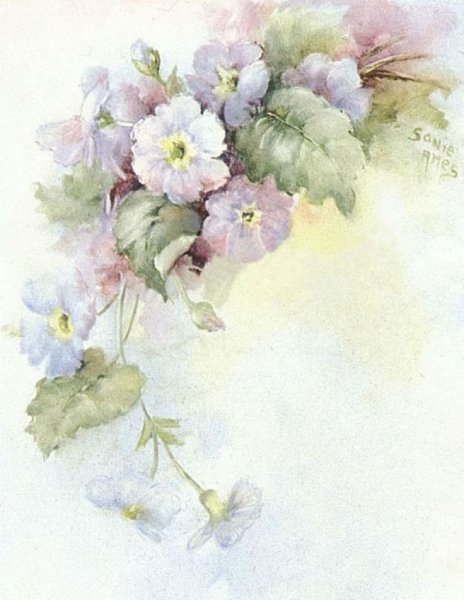 Акварели Sonie Ames