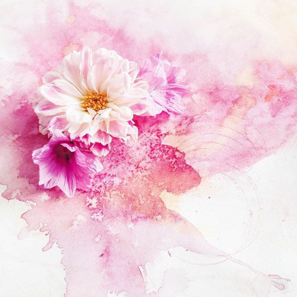 Нежные цветы акварель