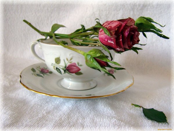 Спасибо за хорошее настроение