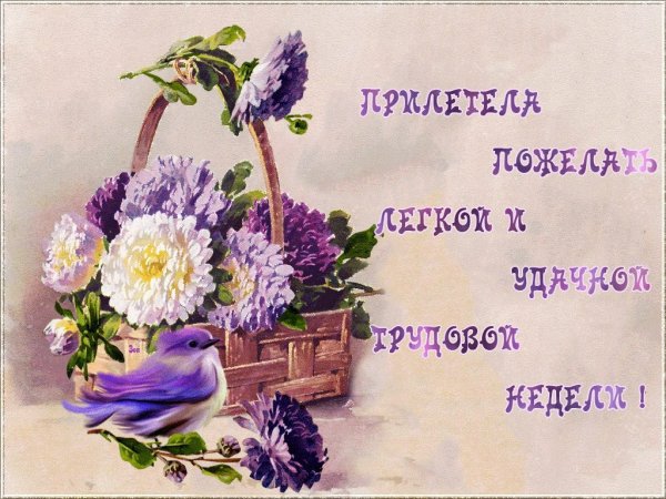 Открытки на каждый день