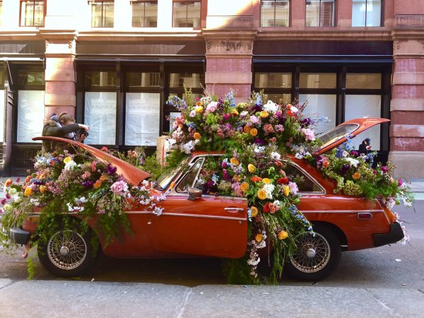 Цветы в машине