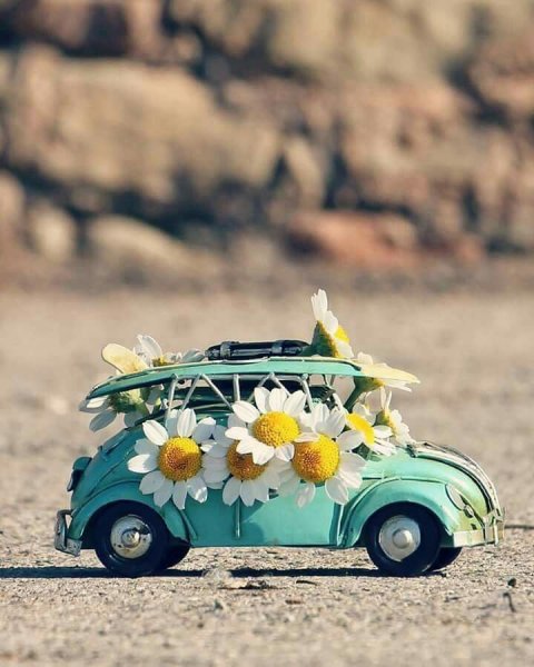 Цветочная машина