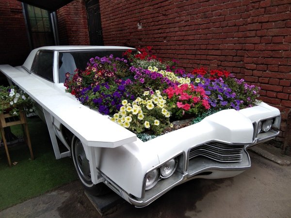 Пафосные машины