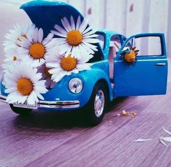 С днём рождения машина