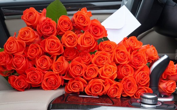 С днём рождения девушке