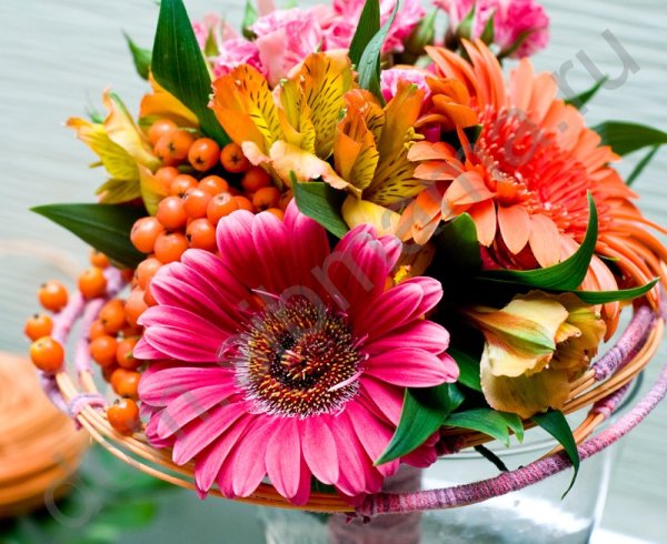 Букет на 1 сентября