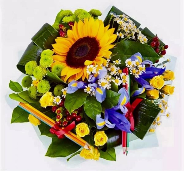 Цветы учителю на 1 сентября