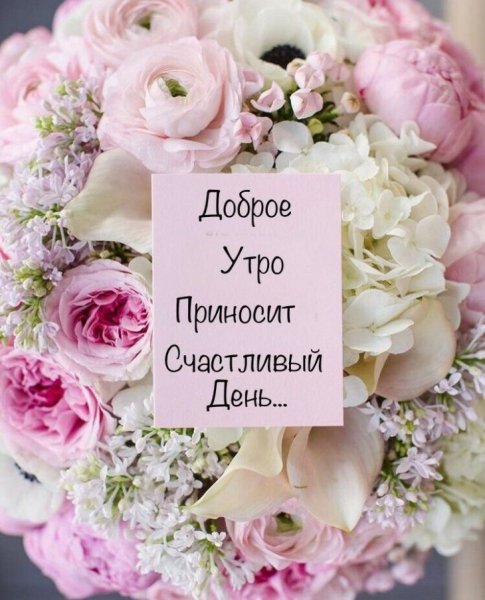 Хорошего дня с пожеланиями стильные