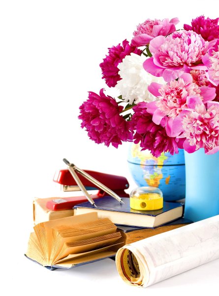 С днём учителя цветы