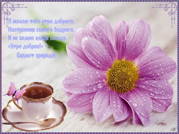 Пожелания с добрым утром анимационные