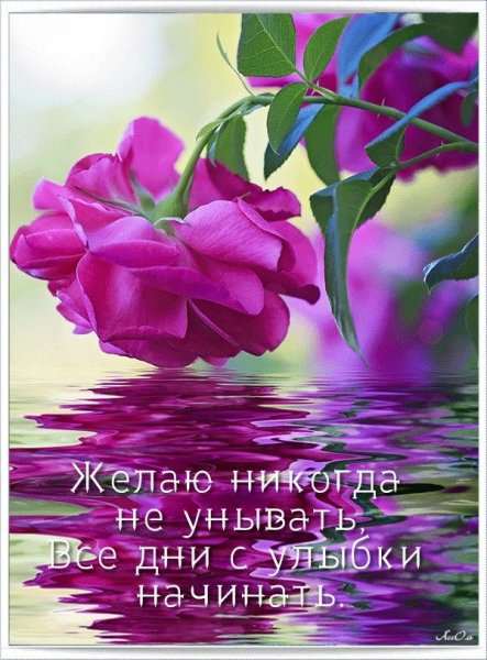 Радостные пожелания