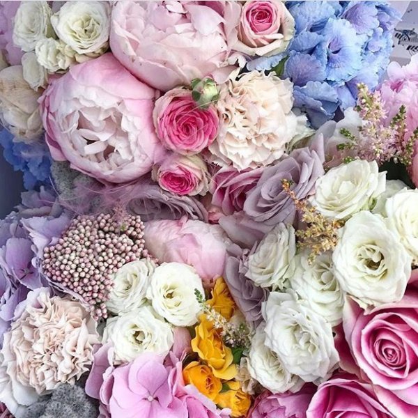 Цветы для инсты