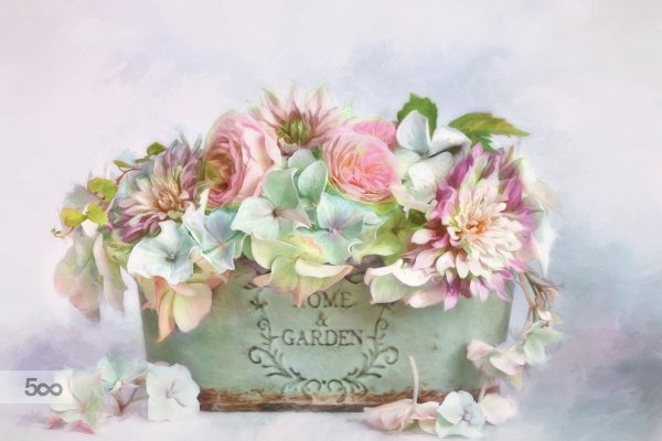 Нежные натюрморты Лиззи пе