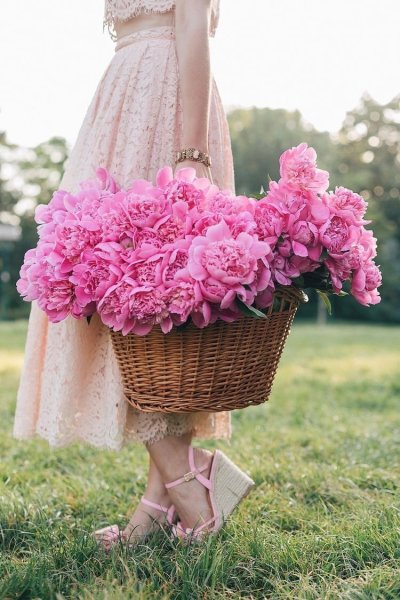 Стильные цветы