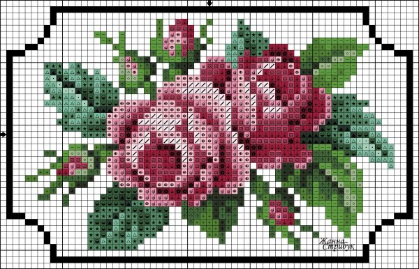 Жанна Стрибук бискорню