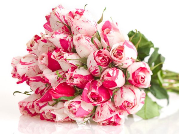 Красивые поздравительные букеты