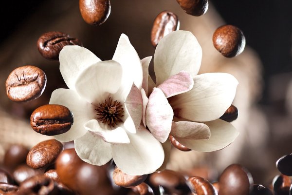 Фартук Альбико м19