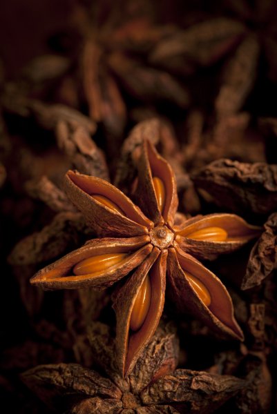 Цветы в коричневых тонах