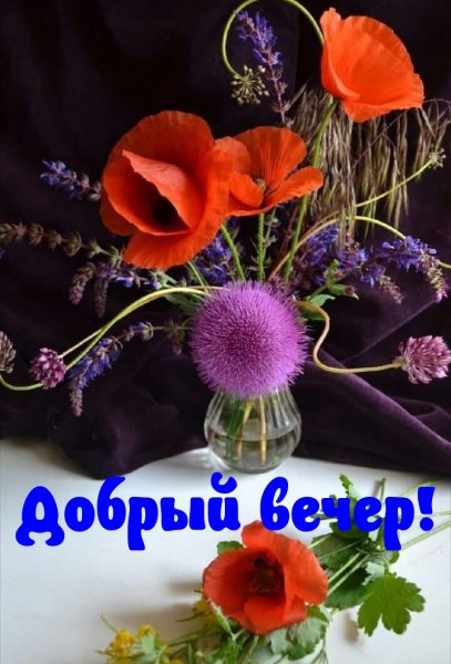 Добрый вечер картинки