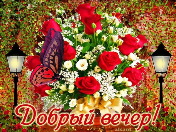 Добрый вечер красивые
