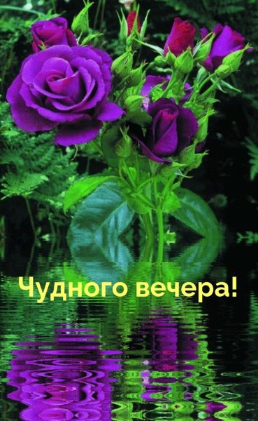 Прекрасного вечера
