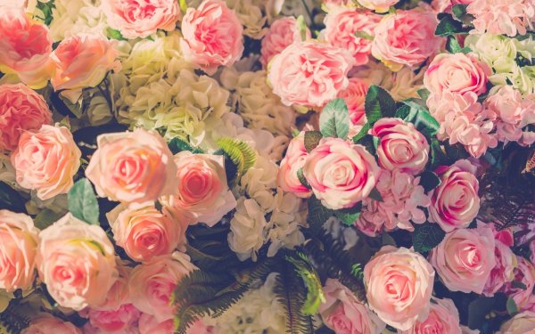 Фон из мелких роз