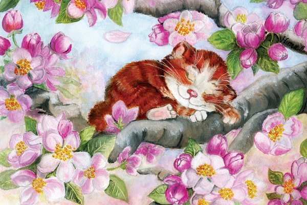Кошки весной