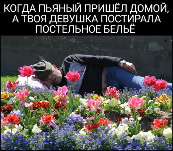 Ольга Пфецер Острогожск