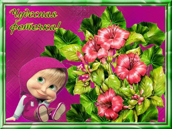 Цветы для внученьки