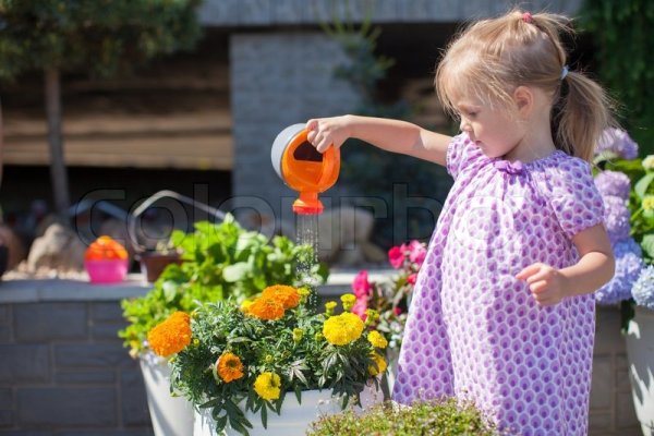 Мама поливает цветы