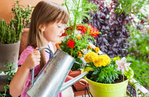 Женщина поливает цветы