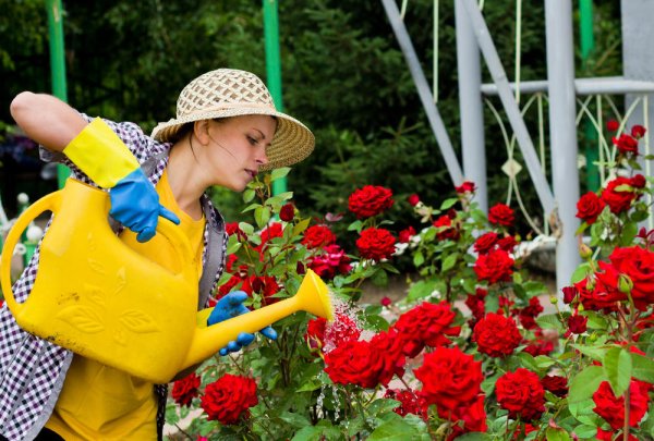 Женщина поливает цветы