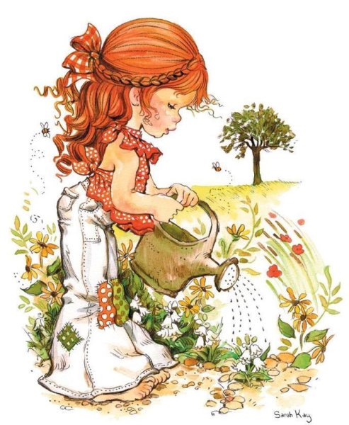 Полив комнатных растений