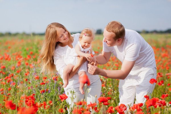 Счастливая семья с детьми в поле
