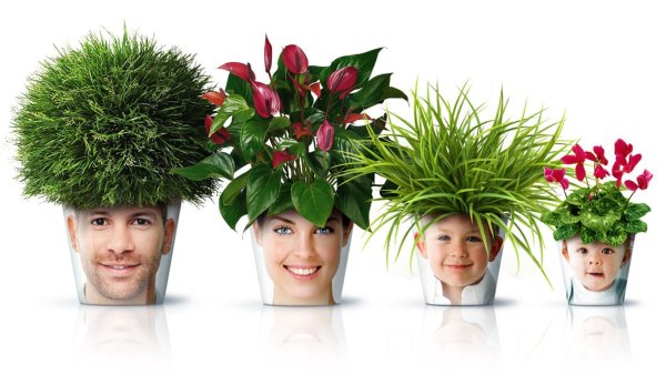 Цветочный горшок лицо