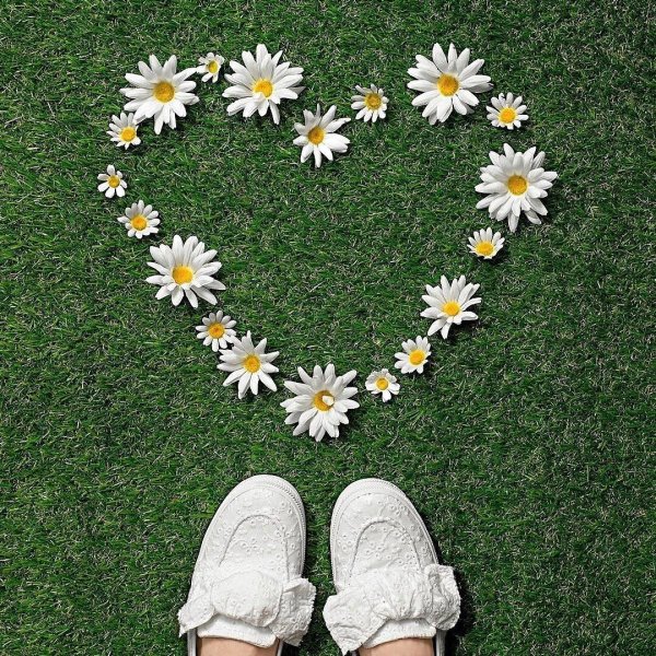 Фотосессия в ромашках идеи
