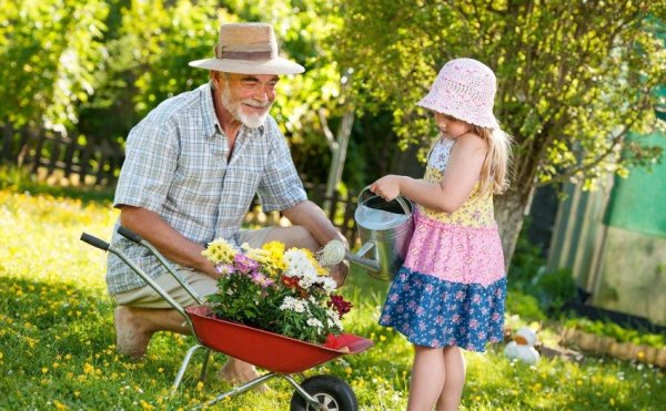 Бабушка с внуками в саду
