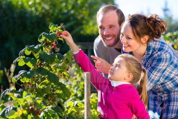 Семья садоводов