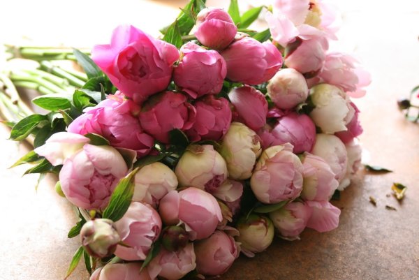 Букет пионов с днем рождения