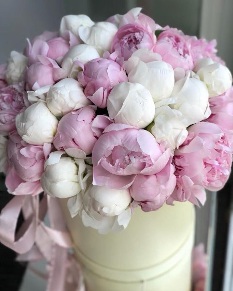 Пионы и пионовидные розы