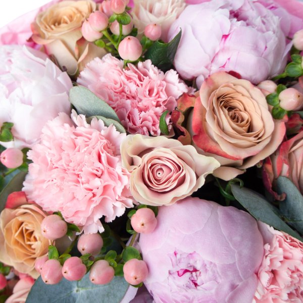 Азалия пионовидная