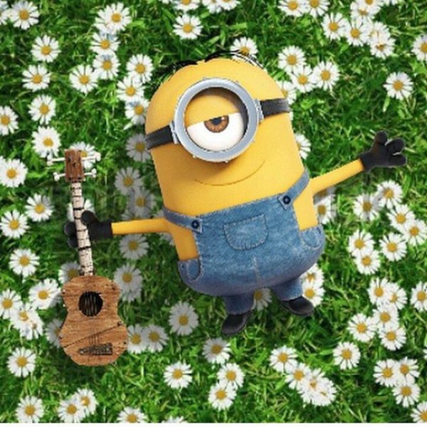 Весенние Миньоны