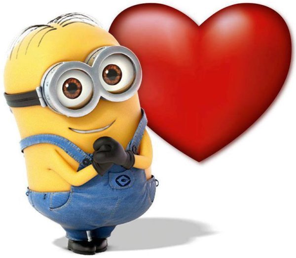 Миньон с цветочком