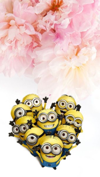Миньон с цветочком