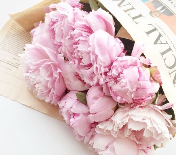 Большой букет пионов