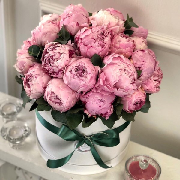 Пионы розовидные