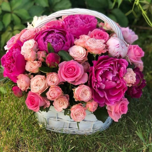 Гипсофилы гортензия пионы